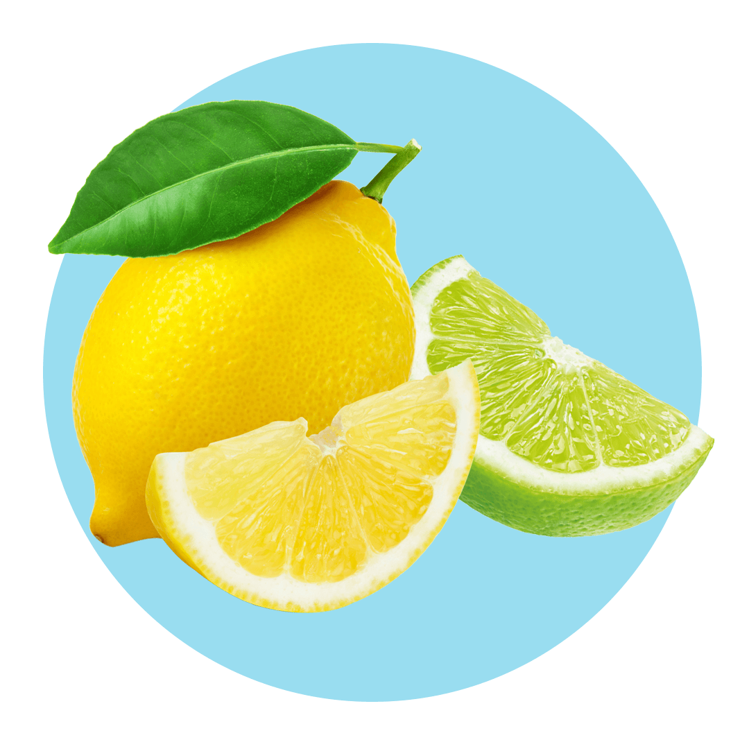 Sliced lemon and lime citrus fruits