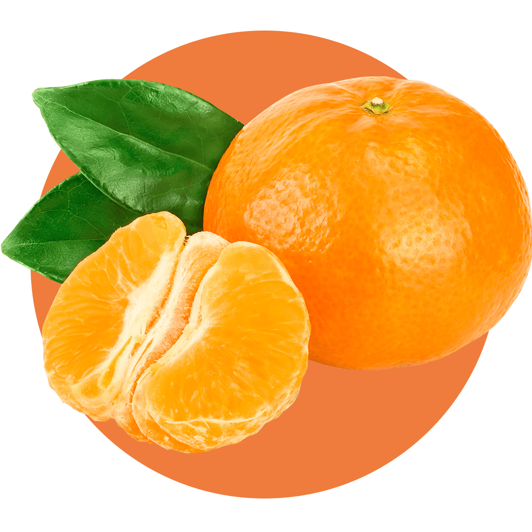 Juicy orange mandarin