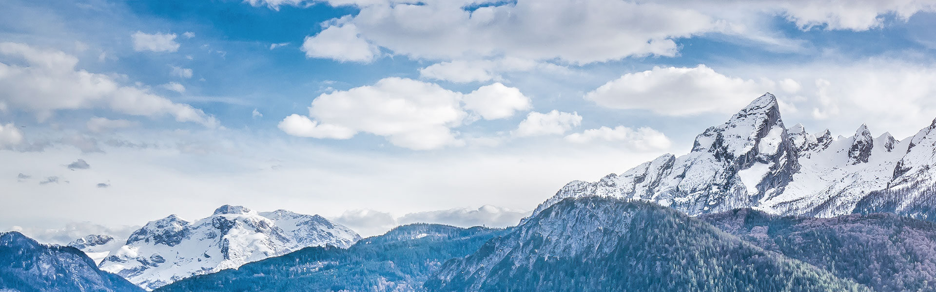 Mountain Air Fragrant Multipurpose Disinfectant Zoflora