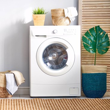 White washing machine next to a plant