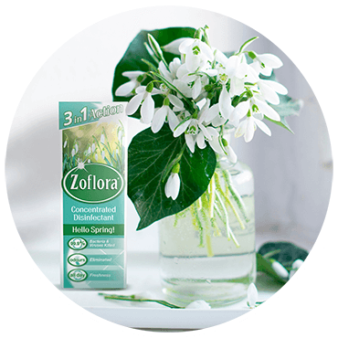 Zoflora box of hello spring next to white flowers