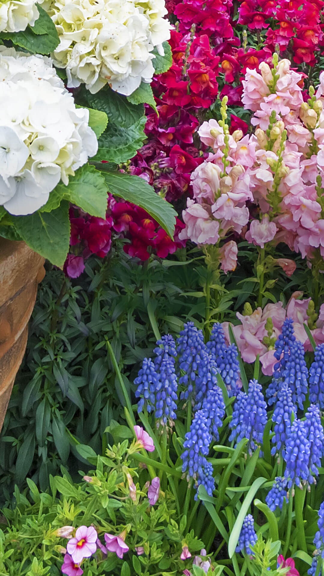 Country Garden Fragrant Multipurpose Disinfectant Zoflora