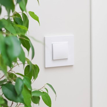 Study light switch