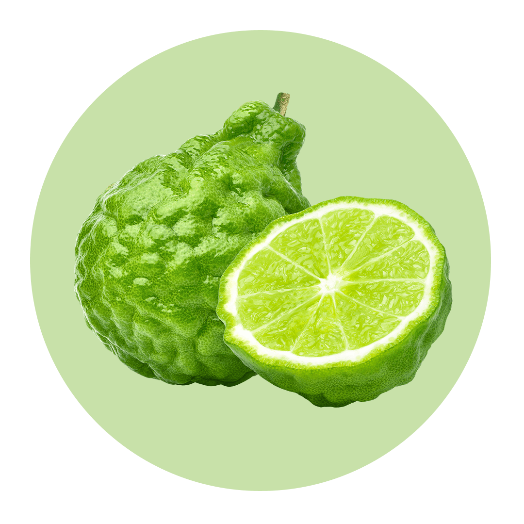 Halved citrus bergamot