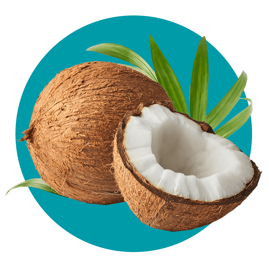 Broken coconut on palm leaves