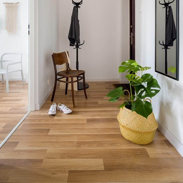 Hallway hard wooden floor