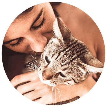 How Do I Decide When The Time Has Come To Put My Dog To Sleep Goddard Veterinary Group