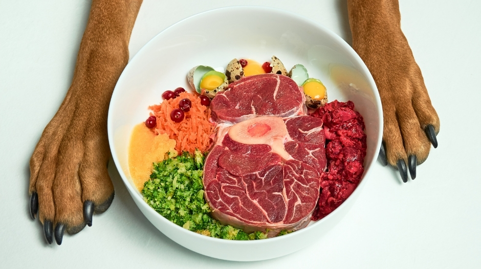 Raw Dog Food in a bowl