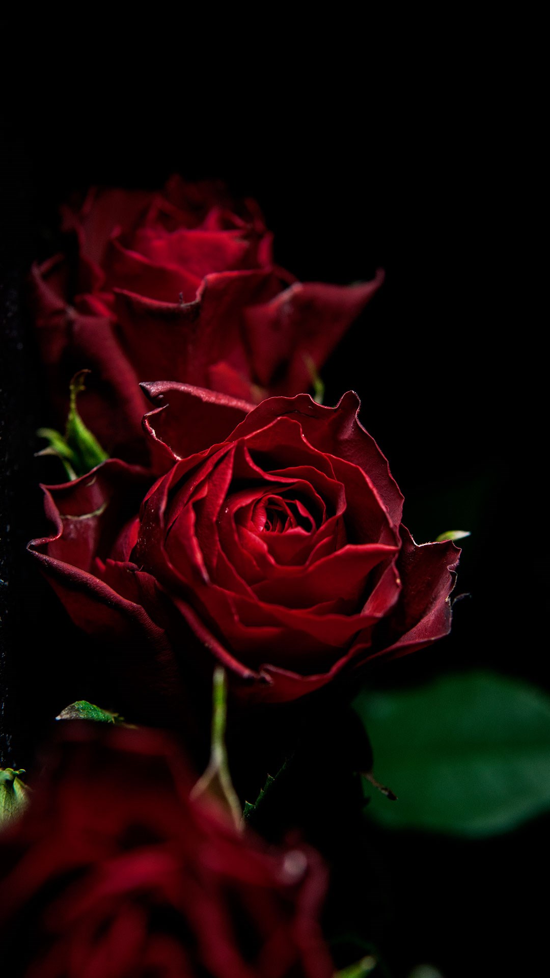 Rose Noir Fragrant Multipurpose Disinfectant Zoflora Rose Noir Fragrant Multipurpose Disinfectant Zoflora