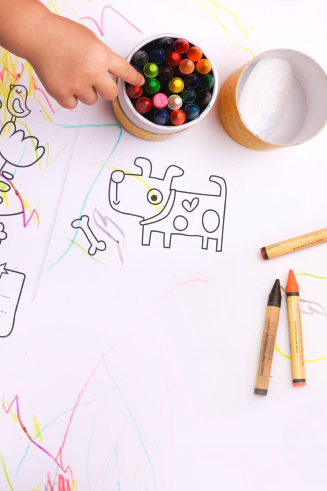 Portrait of Zoflora Kid's Activity Pack